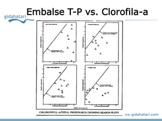 Embalse T-P vs. Clorofila-a
 