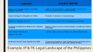 Example: IP &TK Legal Landscape of the Philippines
 Describe the main attributes of the product
 Link the product attrib...