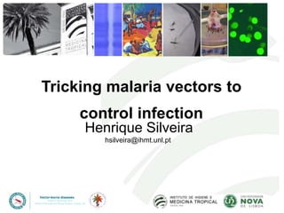 Tricking malaria vectors to 
control infection 
Henrique Silveira 
hsilveira@ihmt.unl.pt 
 