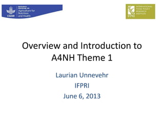 Overview and Introduction to
A4NH Theme 1
Laurian Unnevehr
IFPRI
June 6, 2013
 
