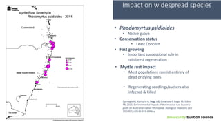 biosecurity built on science
Impact on widespread species
• Myrtle rust impact
• Most populations consist entirely of
dead or dying trees
• Regenerating seedlings/suckers also
infected & killed
• Rhodomyrtus psidioides
• Native guava
• Conservation status
• Least Concern
• Fast growing
• Important successional role in
rainforest regeneration
Carnegie AJ, Kathuria A, Pegg GS, Entwistle P, Nagel M, Giblin
FR, 2015. Environmental impact of the invasive rust Puccinia
psidii on Australian native Myrtaceae. Biological Invasions DOI
10.1007/s10530-015-0996-y
 