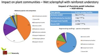 biosecurity built on science
Impact on plant communities – Wet sclerophyll with rainforest understory
Tree species % tree canopy healthy
Acmena smithii 78.5 ±13.124 a
Archirhodomyrtus beckleri 7.66 ±3.063 b
Decaspermum humile 0 ± 0 b
Gossia hillii 4.348 ±4.348 b
Impact of Puccinia psidii infection
– mid-storey
66%
13%
12%
6%
3%
Regenerating seedlings - species composition
Acmena smithii
Archirhodomyrtus beckleri
Rhodamnia maideniana
Decaspermum humile
Gossia hillii
41%
25%
15%
11%
2%
2% 2%
1% 1%
Midstorey species and composition
Archirhodomyrtus beckleri
Gossia hillii
Decaspermum humile
Acmena smithii
Rhodamnia rubescens
Rhodomyrtus psidioides
Syzygium hodgkinsonii
Pilidiostigma glabrum
Syzygium oleosum
 