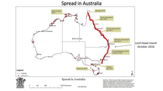 New South
Wales
Queensland
South Australia
Western Australia
Northern
Territory
Tasmania
Spread in Australia
Lord Howe Island
October 2016
 