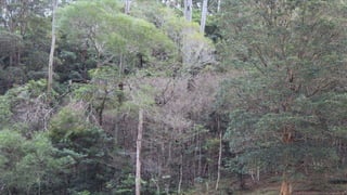 biosecurity built on science
Impact on plant communities
 