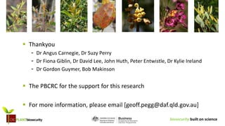 biosecurity built on science
 Thankyou
- Dr Angus Carnegie, Dr Suzy Perry
- Dr Fiona Giblin, Dr David Lee, John Huth, Peter Entwistle, Dr Kylie Ireland
- Dr Gordon Guymer, Bob Makinson
 The PBCRC for the support for this research
 For more information, please email [geoff.pegg@daf.qld.gov.au]
 