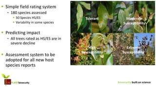 biosecurity built on science
 Simple field rating system
- 180 species assessed
 50 Species HS/ES
 Variability in some species
 Predicting impact
- All trees rated as HS/ES are in
severe decline
 Assessment system to be
adopted for all new host
species reports
Tolerant Moderate
Susceptibility
High
Susceptibility
Extreme
Susceptibility
 