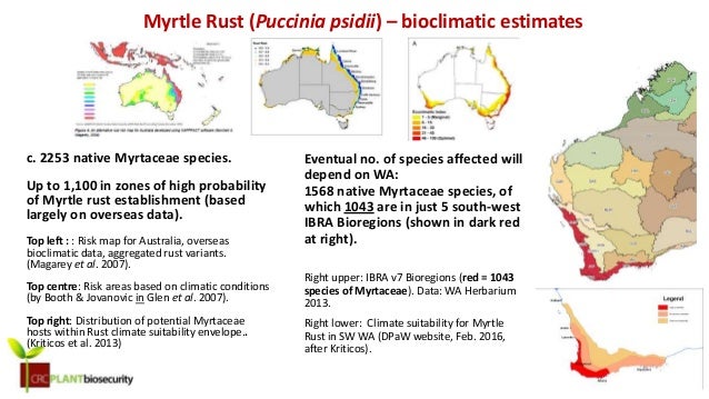 Session 10: Myrtle Rust epitomises a critical challenge for biodiver…