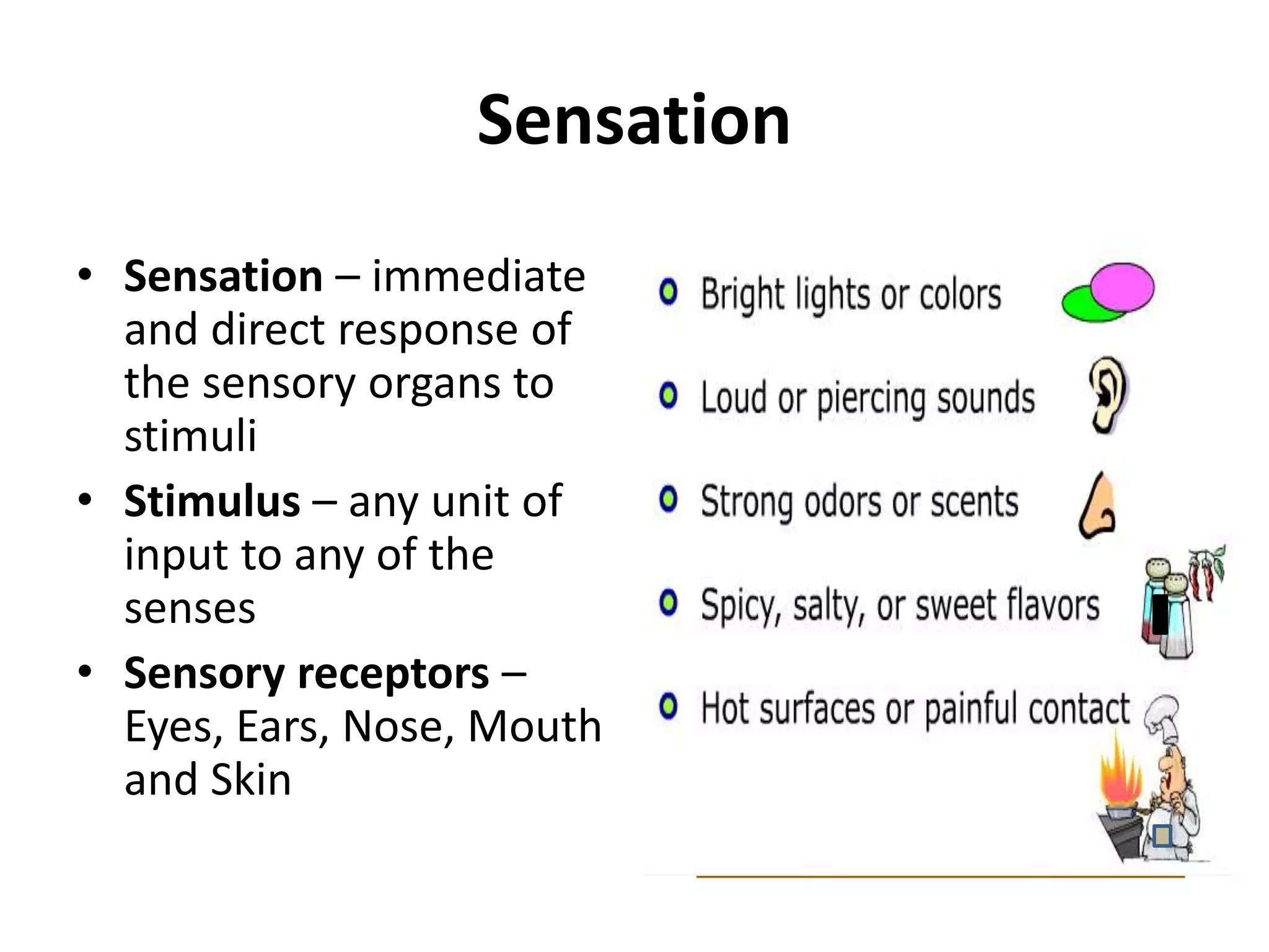 Sensation
• Sensation – immediate
and direct response of
the sensory organs to
stimuli
• Stimulus – any unit of
input to any of the
senses
• Sensory receptors –
Eyes, Ears, Nose, Mouth
and Skin
 