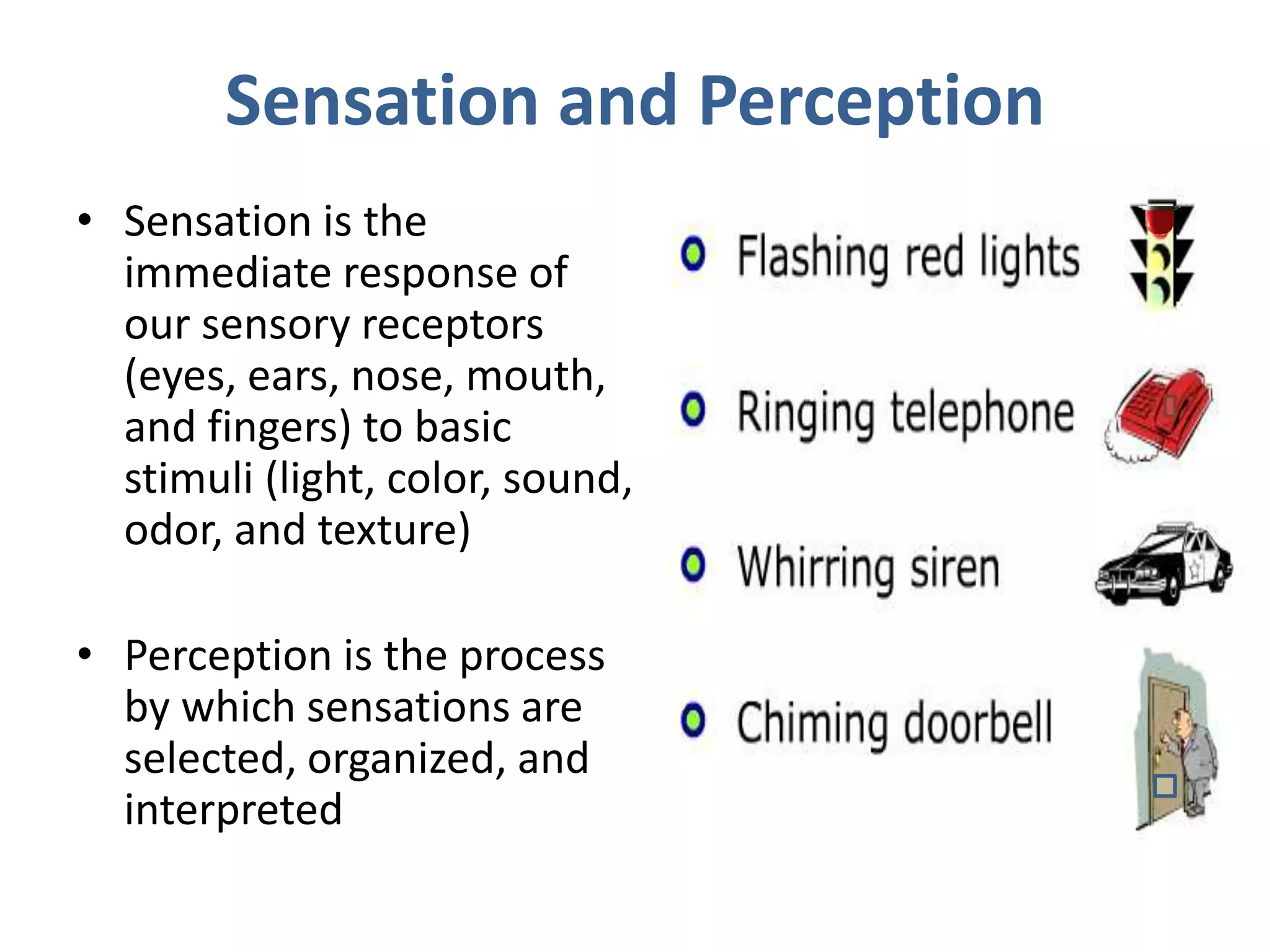 Sensation and Perception
• Sensation is the
immediate response of
our sensory receptors
(eyes, ears, nose, mouth,
and fingers) to basic
stimuli (light, color, sound,
odor, and texture)
• Perception is the process
by which sensations are
selected, organized, and
interpreted
 