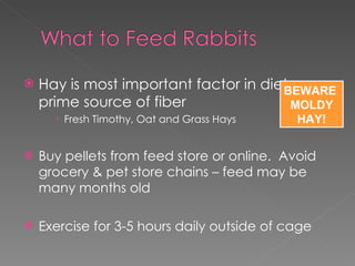 Hay is most important factor in diet – prime source of fiber Fresh Timothy, Oat and Grass Hays Buy pellets from feed store or online.  Avoid grocery & pet store chains – feed may be many months old Exercise for 3-5 hours daily outside of cage BEWARE  MOLDY HAY! 