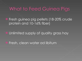 Fresh guinea pig pellets (18-20% crude protein and 10-16% fiber) Unlimited supply of quality grass hay Fresh, clean water ad libitum 