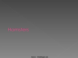 Source:  Stumbleupon.com 