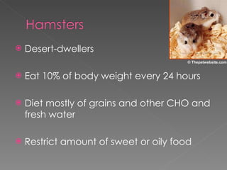 Desert-dwellers Eat 10% of body weight every 24 hours Diet mostly of grains and other CHO and fresh water Restrict amount of sweet or oily food © Thepetwebsite.com 