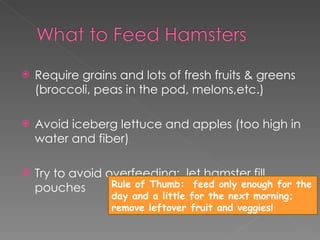 Require grains and lots of fresh fruits & greens (broccoli, peas in the pod, melons,etc.) Avoid iceberg lettuce and apples (too high in water and fiber) Try to avoid overfeeding;  let hamster fill pouches Rule of Thumb:  feed only enough for the day and a little for the next morning; remove leftover fruit and veggies! 