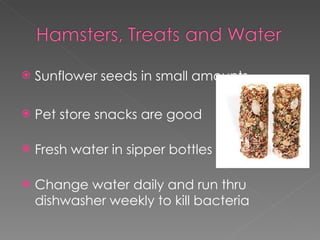 Sunflower seeds in small amounts Pet store snacks are good Fresh water in sipper bottles Change water daily and run thru dishwasher weekly to kill bacteria 