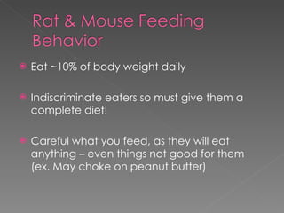 Eat ~10% of body weight daily Indiscriminate eaters so must give them a complete diet! Careful what you feed, as they will eat anything – even things not good for them  (ex. May choke on peanut butter) 