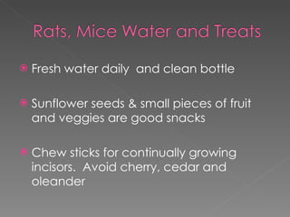 Fresh water daily  and clean bottle Sunflower seeds & small pieces of fruit and veggies are good snacks Chew sticks for continually growing incisors.  Avoid cherry, cedar and oleander 