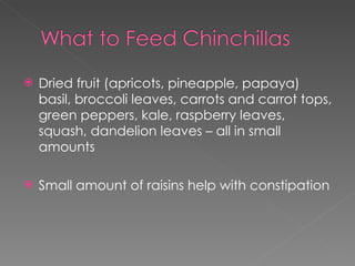Dried fruit (apricots, pineapple, papaya) basil, broccoli leaves, carrots and carrot tops, green peppers, kale, raspberry leaves, squash, dandelion leaves – all in small amounts Small amount of raisins help with constipation 