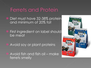 Diet must have 32-38% protein and minimum of 20% fat First ingredient on label should be meat Avoid soy or plant proteins Avoid fish and fish oil – make ferrets smelly 