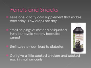 Ferretone, a fatty acid supplement that makes coat shiny.  Few drops per day. Small helpings of mashed or liquefied fruits, but avoid starchy foods like cereal Limit sweets – can lead to diabetes Can give a little cooked chicken and cooked egg in small amounts  