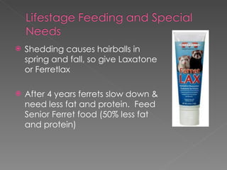 Shedding causes hairballs in spring and fall, so give Laxatone or Ferretlax After 4 years ferrets slow down & need less fat and protein.  Feed Senior Ferret food (50% less fat and protein) 