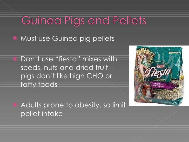 High Vit C Foods For Guinea Pigs High Vit C Foods For Guinea Pigs