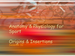 Anatomy & Physiology for Sport Origins & Insertions Session 10 