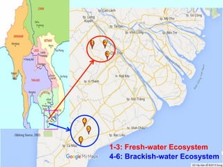 Impact of Irrigation on Livelihoods of Fishing Communities