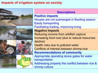Impact of Irrigation on Livelihoods of Fishing Communities