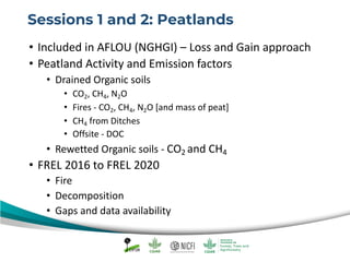 Capacity Building on the IPCC 2013 Wetlands Supplement, FREL Diagnostic and Uncertainty Analysis - Open discussions