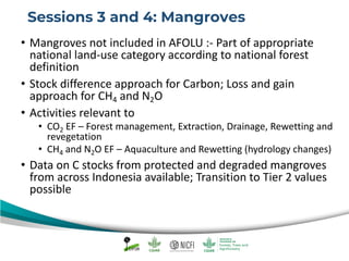 Capacity Building on the IPCC 2013 Wetlands Supplement, FREL Diagnostic and Uncertainty Analysis - Open discussions