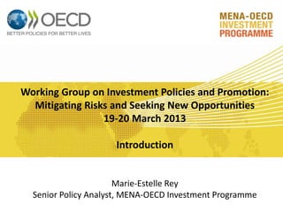 Working Group on Investment Policies and Promotion:
Mitigating Risks and Seeking New Opportunities
19-20 March 2013
Introduction
Marie-Estelle Rey
Senior Policy Analyst, MENA-OECD Investment Programme
 