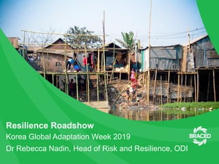 Resilience Roadshow
Korea Global Adaptation Week 2019
Dr Rebecca Nadin, Head of Risk and Resilience, ODI
 