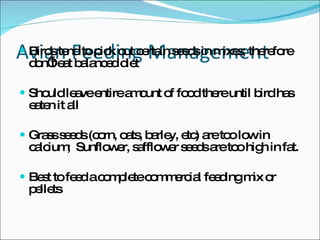 Avian Feeding Management Birds tend to pick out certain seeds in mixes; therefore don’t eat balanced diet  Should leave entire amount of food there until bird has eaten it all Grass seeds (corn, oats, barley, etc) are too low in calcium;  Sunflower, safflower seeds are too high in fat.  Best to feed a complete commercial feeding mix or pellets 