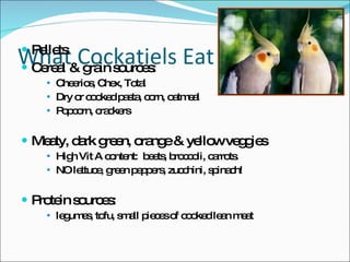 What Cockatiels Eat Pellets Cereal & grain sources: Cheerios, Chex, Total Dry or cooked pasta, corn, oatmeal Popcorn, crackers Meaty, dark green, orange & yellow veggies High Vit A content:  beets, broccoli, carrots.  NO lettuce, green peppers, zucchini, spinach! Protein sources: legumes, tofu, small pieces of cooked lean meat 