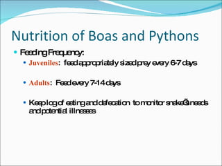 Nutrition of Boas and Pythons Feeding Frequency: Juveniles :  feed appropriately sized prey every 6-7 days Adults :  Feed every 7-14 days Keep log of eating and defecation  to monitor snake’s needs and potential illnesses 
