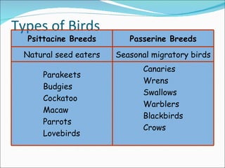 Types of Birds Psittacine Breeds Passerine Breeds Natural seed eaters Seasonal migratory birds Parakeets Budgies Cockatoo Macaw Parrots Lovebirds Canaries Wrens Swallows Warblers Blackbirds Crows 