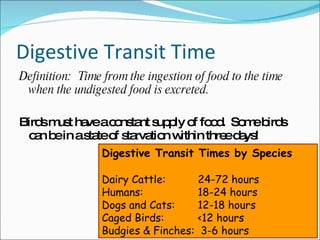 Digestive Transit Time Definition:  Time from the ingestion of food to the time when the undigested food is excreted. Birds must have a constant supply of food.  Some birds can be in a state of starvation within three days! Digestive Transit Times by Species Dairy Cattle:  24-72 hours Humans: 18-24 hours Dogs and Cats:  12-18 hours Caged Birds:  <12 hours Budgies & Finches:  3-6 hours 