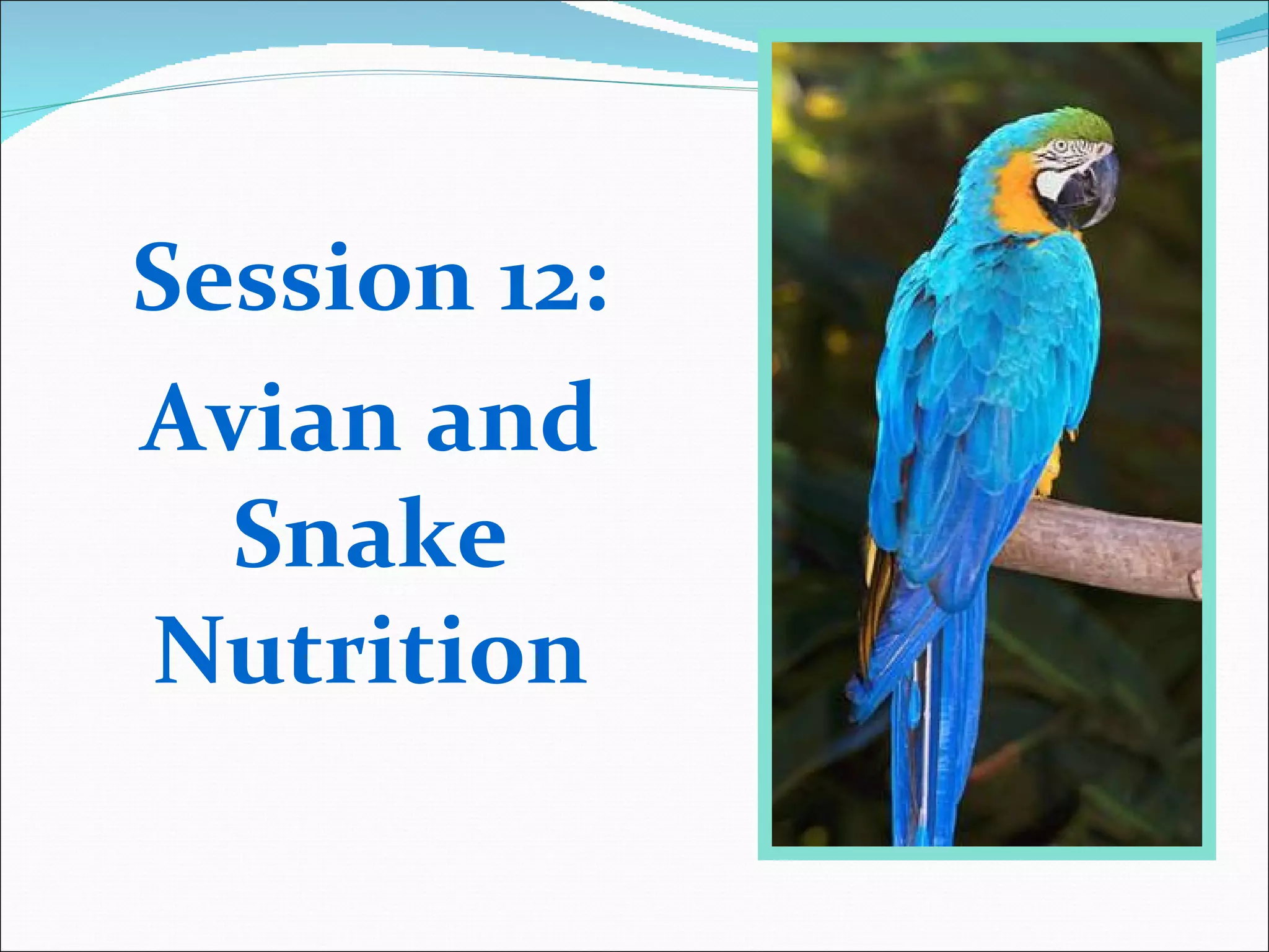 Photo inspiration: Fresh Look at Avian Snake Nutrition