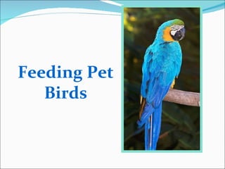 Gallery Detail: Avian Snake Nutrition