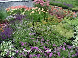 Perennials: Seasonal Content
 