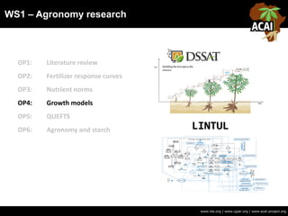 WS1 – Agronomy research
www.iita.org | www.cgiar.org | www.acai-project.org
OP1: Literature review
OP2: Fertilizer response curves
OP3: Nutrient norms
OP4: Growth models
OP5: QUEFTS
OP6: Agronomy and starch LINTUL
 