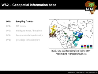 WS2 – Geospatial information base
www.iita.org | www.cgiar.org | www.acai-project.org
OP1: Sampling frames
OP2: GIS layers
OP3: Yield gap maps / baseline
OP4: Recommendation domains
OP5: Database infrastructure
Rigid, GIS-assisted sampling frame SOP,
maximizing representativeness
 
