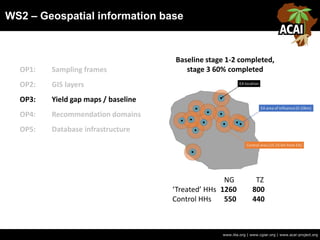 WS2 – Geospatial information base
www.iita.org | www.cgiar.org | www.acai-project.org
OP1: Sampling frames
OP2: GIS layers
OP3: Yield gap maps / baseline
OP4: Recommendation domains
OP5: Database infrastructure
NG TZ
‘Treated’ HHs 1260 800
Control HHs 550 440
Baseline stage 1-2 completed,
stage 3 60% completed
 