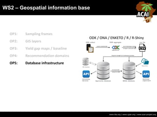 WS2 – Geospatial information base
www.iita.org | www.cgiar.org | www.acai-project.org
OP1: Sampling frames
OP2: GIS layers
OP3: Yield gap maps / baseline
OP4: Recommendation domains
OP5: Database infrastructure
ODK / ONA / ENKETO / R / R-Shiny
 