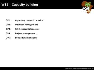 WS5 – Capacity building
www.iita.org | www.cgiar.org | www.acai-project.org
OP1: Agronomy research capacity
OP2: Database management
OP3: GIS / geospatial analyses
OP4: Project management
OP5: Soil and plant analyses
 