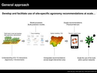 General approach
www.iita.org | www.cgiar.org | www.acai-project.org
Develop and facilitate use of site-specific agronomy recommendations at scale…
Understanding of A × E interactions
(Agronomy × Environment)
Extrapolate recommendations
across target intervention area
Supply recommendations
Practical field tool
Model processes
Build prediction models
Scale the use of the tools
within partner networks
 