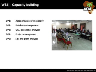 WS5 – Capacity building
www.iita.org | www.cgiar.org | www.acai-project.org
OP1: Agronomy research capacity
OP2: Database management
OP3: GIS / geospatial analyses
OP4: Project management
OP5: Soil and plant analyses
 