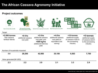 The African Cassava Agronomy Initiative
Project outcomes
www.iita.org | www.cgiar.org | www.acai-project.org
Target:
+2,500 tonnes
new cassava
fertilizer blends
+8 t/ha
additional cassava
root yield
+2 t/ha
additional cassava
root yield, and
+500 kg/ha
additional intercrop
yield
+4 t/ha
additional cassava
root yield (or
equivalent cost
saving)
+10 tonnes
additional supply
of cassava roots to
the processing
industry
+5 tonnes
additional supply
of cassava starch
to the processing
industry
Number of households impacted:
NA 28,200 42,900 35,100 6,563 7,700
Value generated [M USD]:
2.3 2.2 3.9 2.1 3.3 2.9
 
