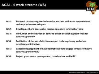 ACAI – 6 work streams (WS)
www.iita.org | www.cgiar.org | www.acai-project.org
WS1: Research on cassava growth dynamics, nutrient and water requirements,
and responsiveness to inputs
WS2: Development of a geo-spatial cassava agronomy information base
WS3: Production and validation of demand-driven decision support tools for
cassava agronomy
WS4: Facilitation of the use of decision support tools to primary and other
development initiatives
WS5: Capacity development of national institutions to engage in transformative
cassava agronomy R4D
WS6: Project governance, management, coordination, and M&E
 